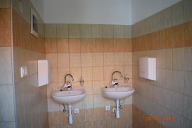 DSC_0110.JPG