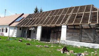 20180409_130050.jpg