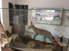IMG_1544.JPG