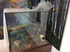 IMG_1545.JPG