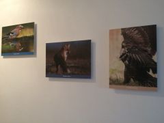 IMG_1552.JPG
