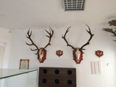 IMG_1576.JPG