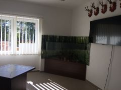 IMG_1900.JPG