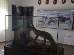 IMG_1905.JPG