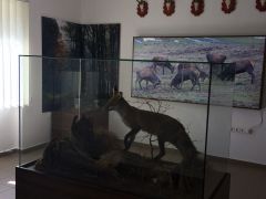 IMG_1906.JPG